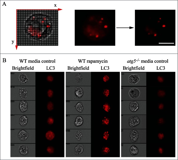 Figure 14.