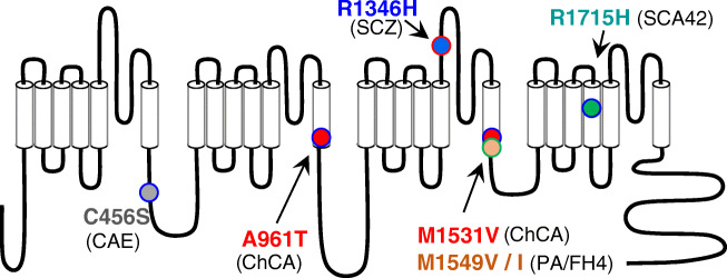 Fig. 4