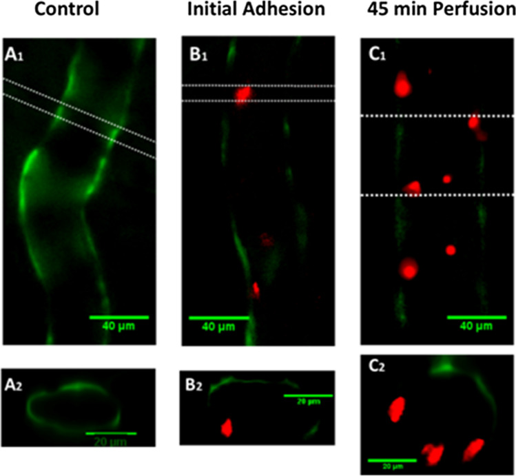 Figure 15