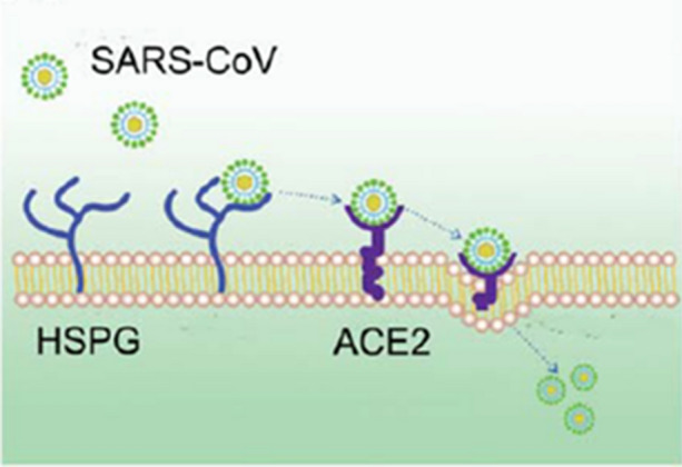 Figure 14