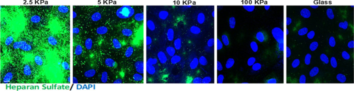 Figure 11