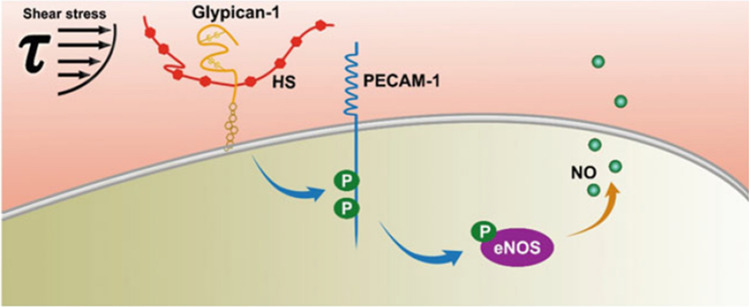 Figure 10