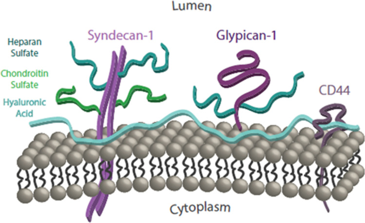 Figure 1