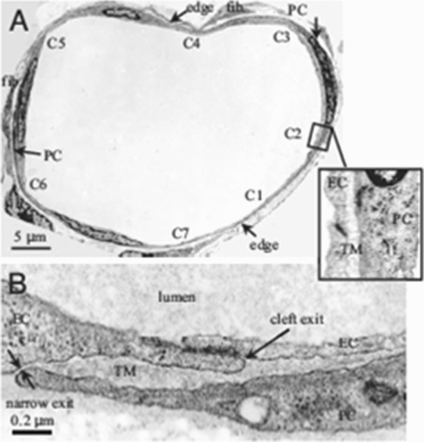 Figure 8