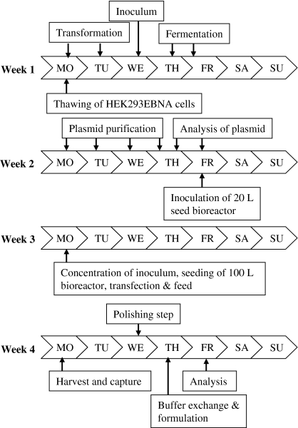 Fig. 6