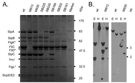 FIG. 1.