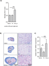 Figure 4—figure supplement 1.