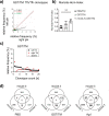 Figure 2—figure supplement 2.