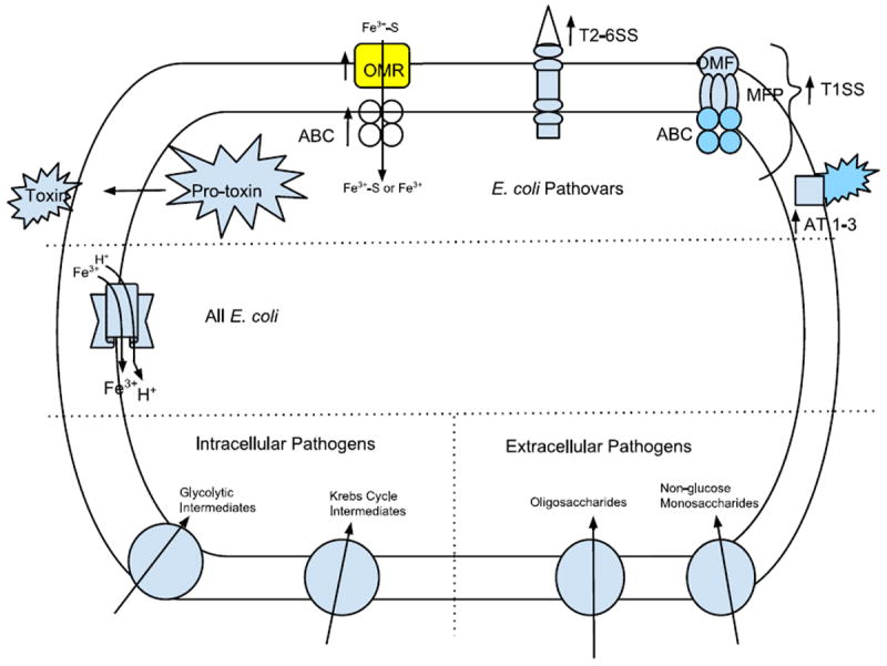 Fig. 3