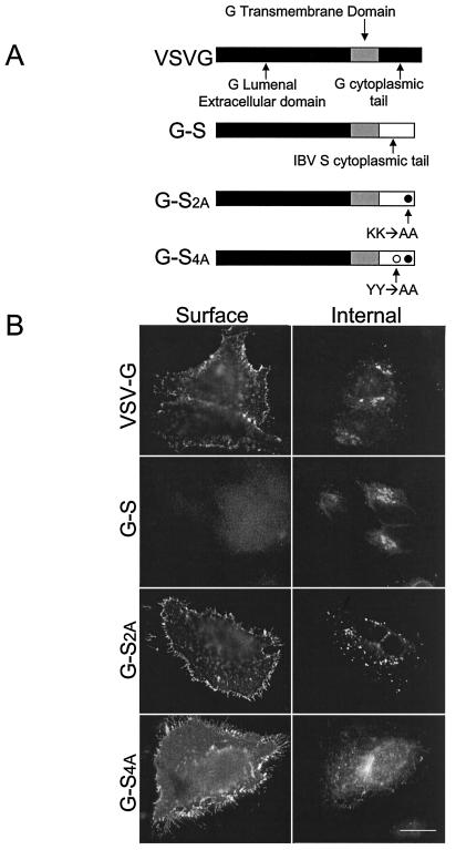 FIG. 2.