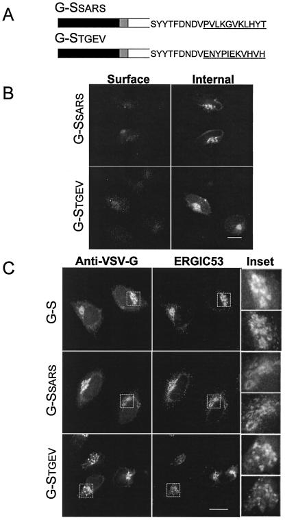 FIG. 6.