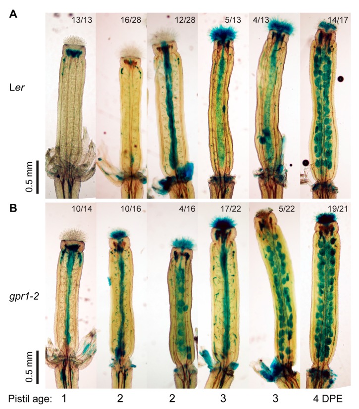 Figure 10