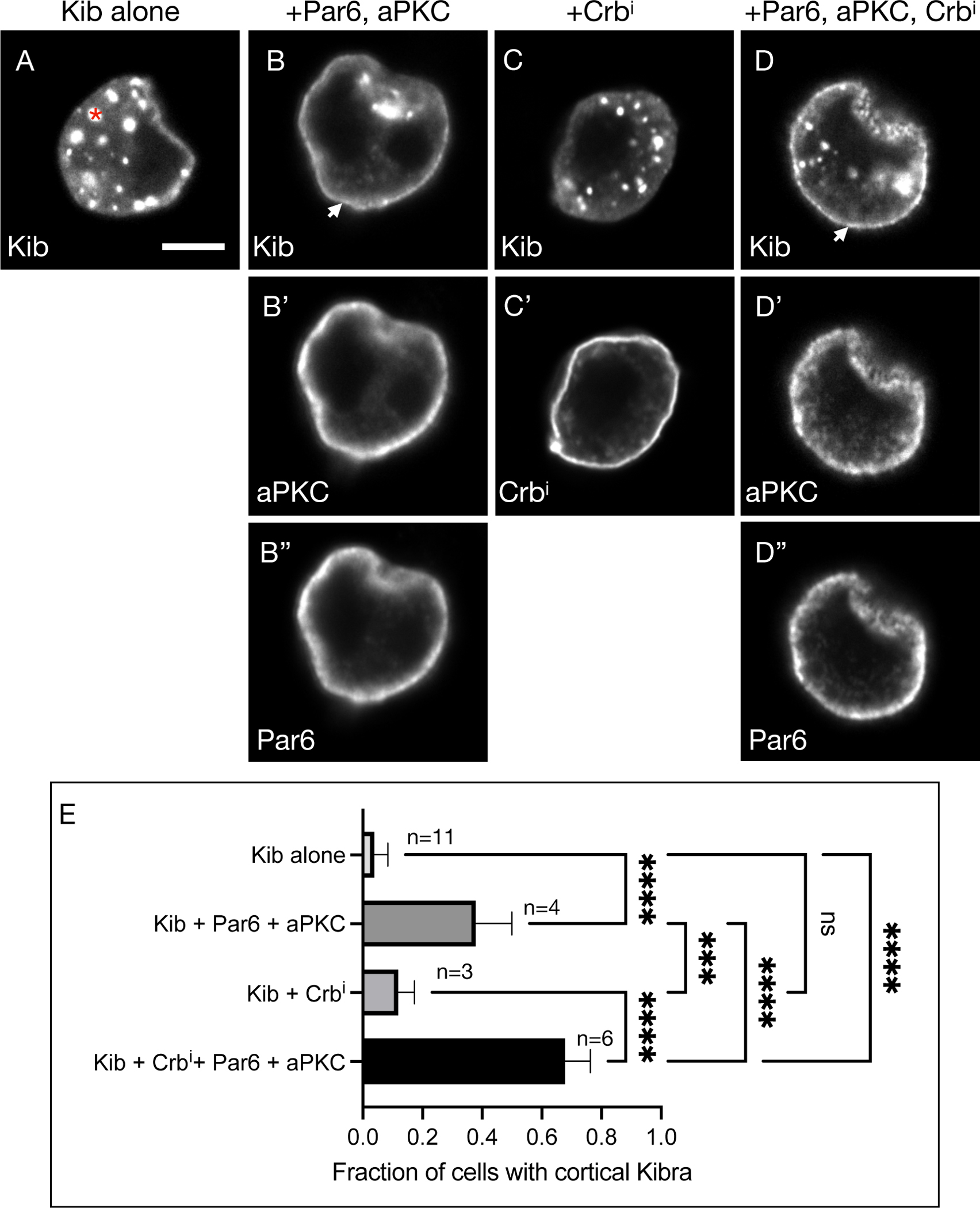 Figure 5.