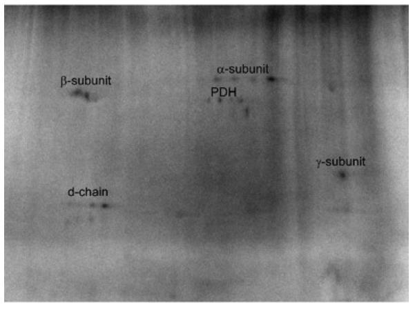 Figure. 6