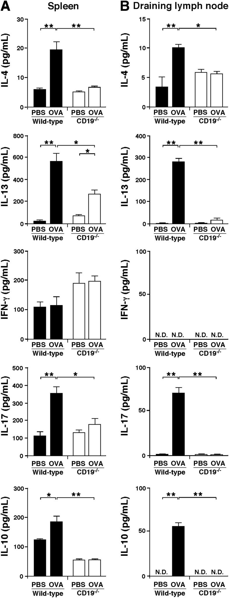 Figure 5