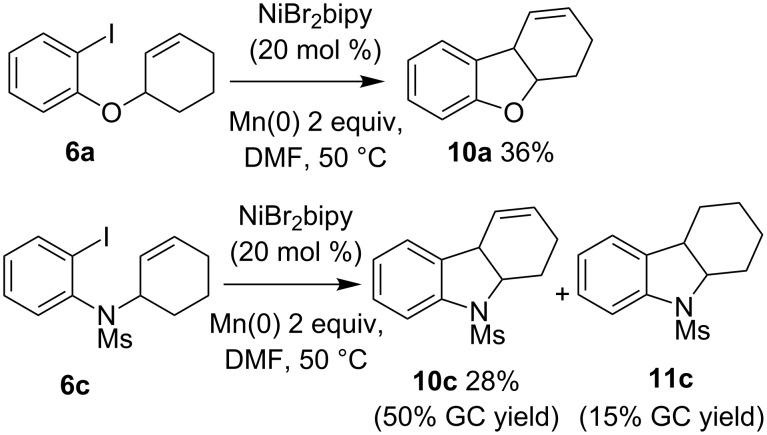 Scheme 5