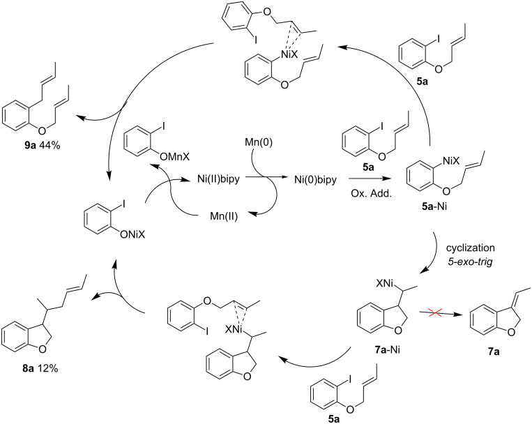 Scheme 4