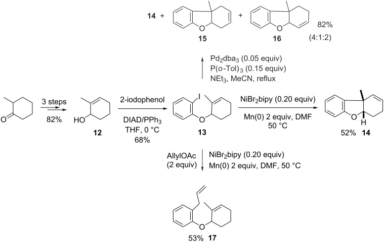 Scheme 6