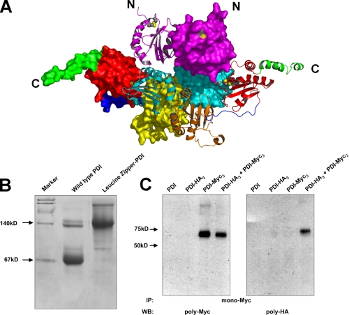 FIGURE 4.