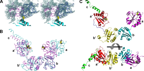 FIGURE 1.