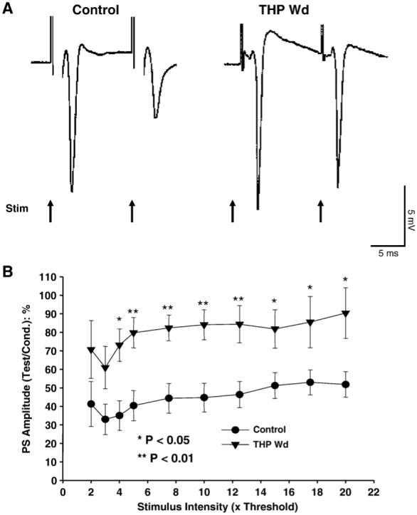 Fig. 5