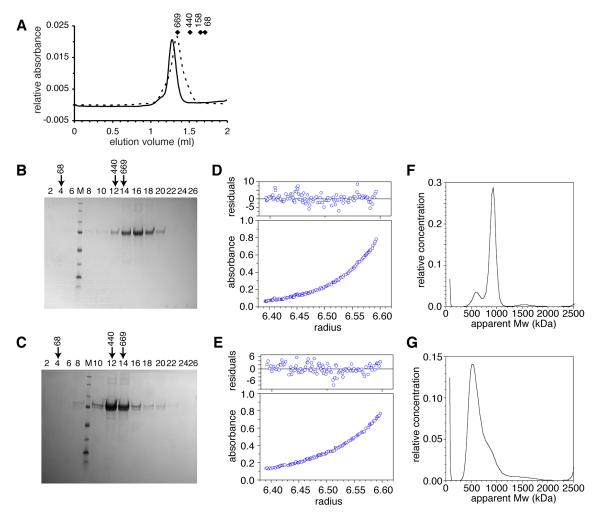 Fig. 2