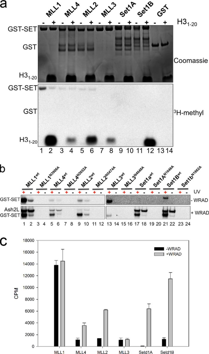 FIGURE 4.