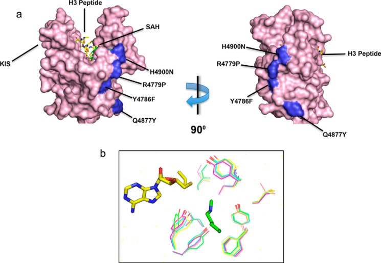 FIGURE 7.