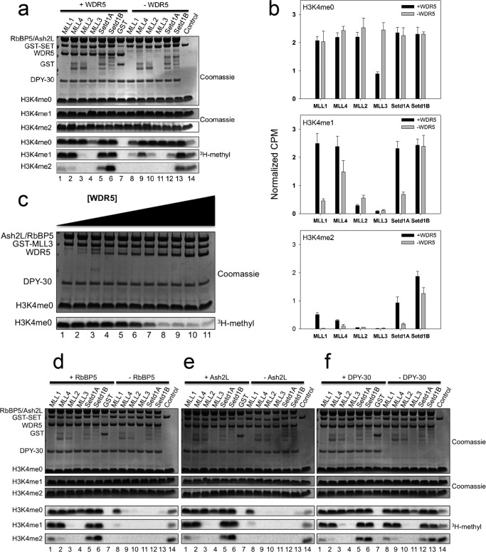 FIGURE 5.