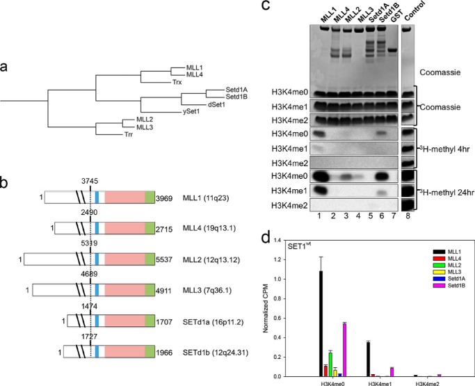 FIGURE 1.