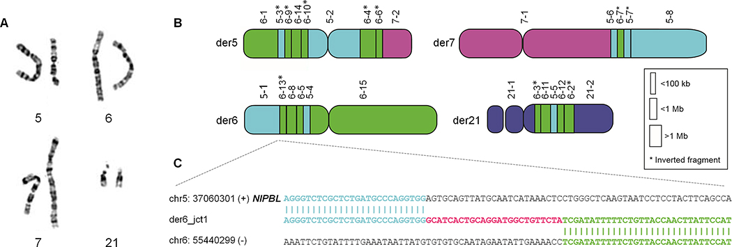 Figure 1.