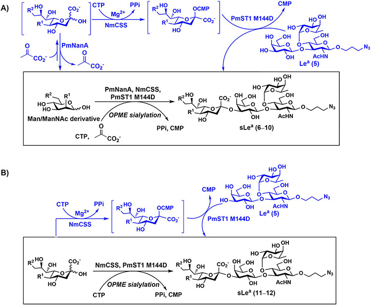 Scheme 2.