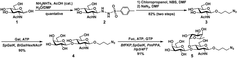 Scheme 1.