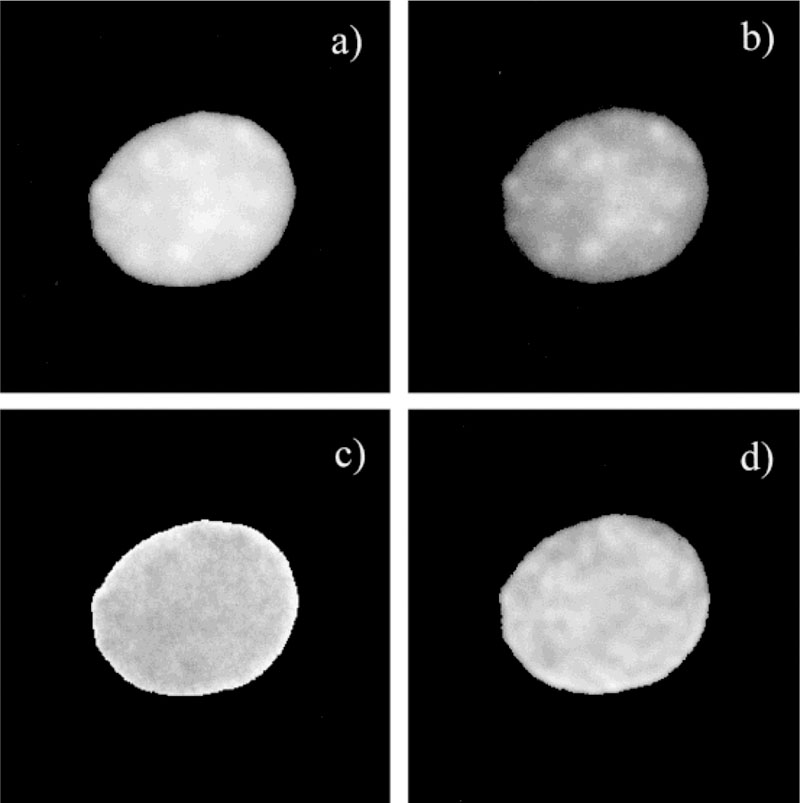 FIG. 8.