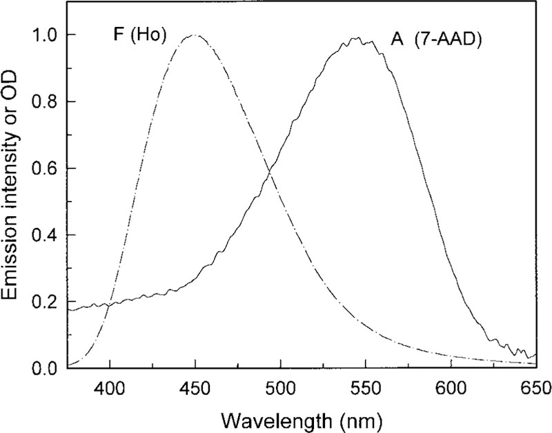 FIG. 2.