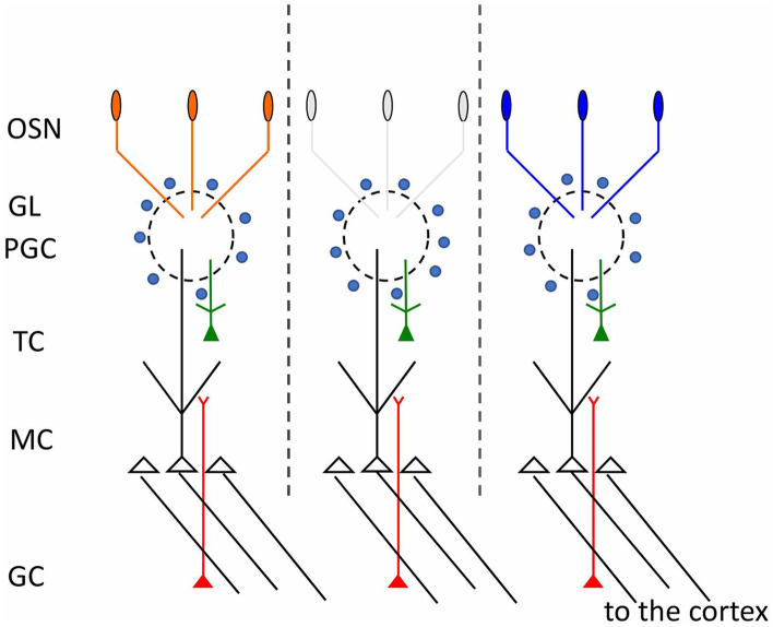 Fig. 2