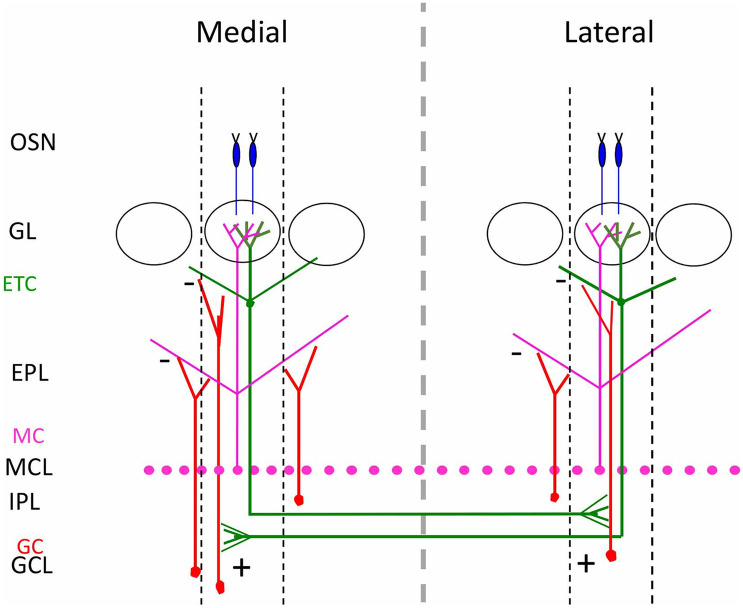 Fig. 3