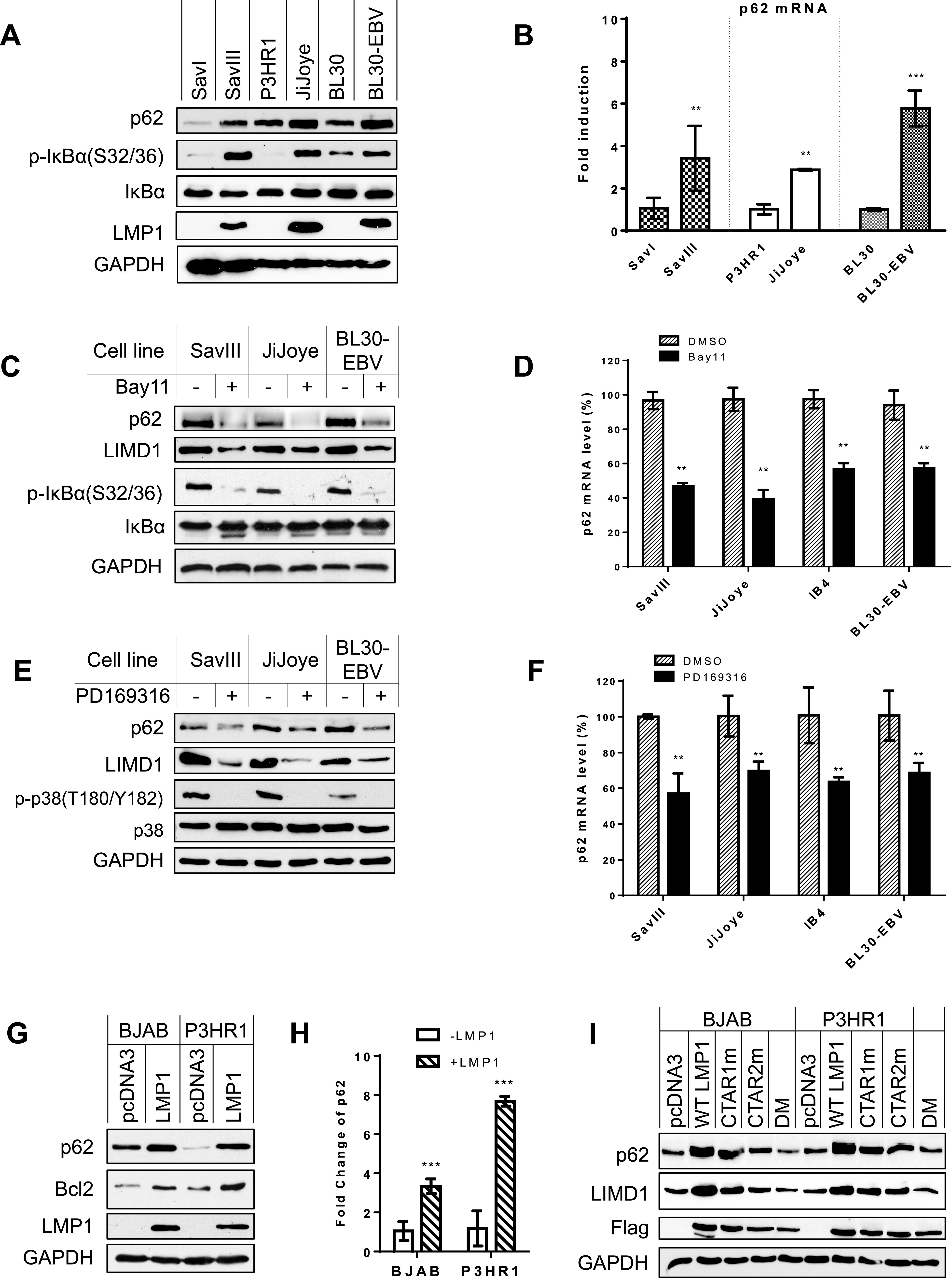 FIG 2