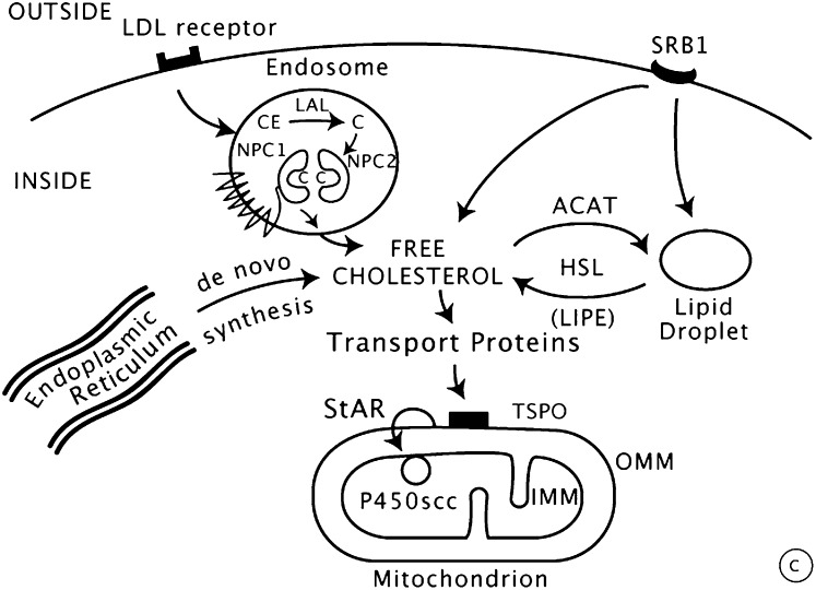 Fig. 2.