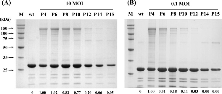 Fig 5