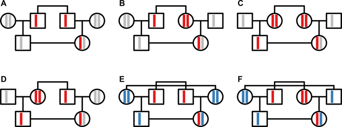 Figure 5: