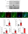 Extended Data Fig. 2