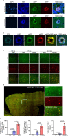 Extended Data Fig. 3