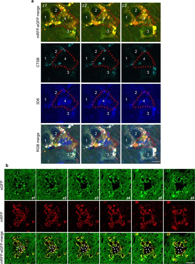 Extended Data Fig. 8