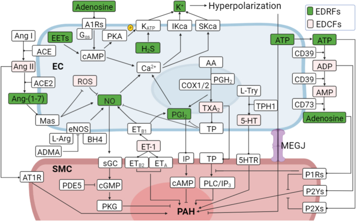 Figure 4