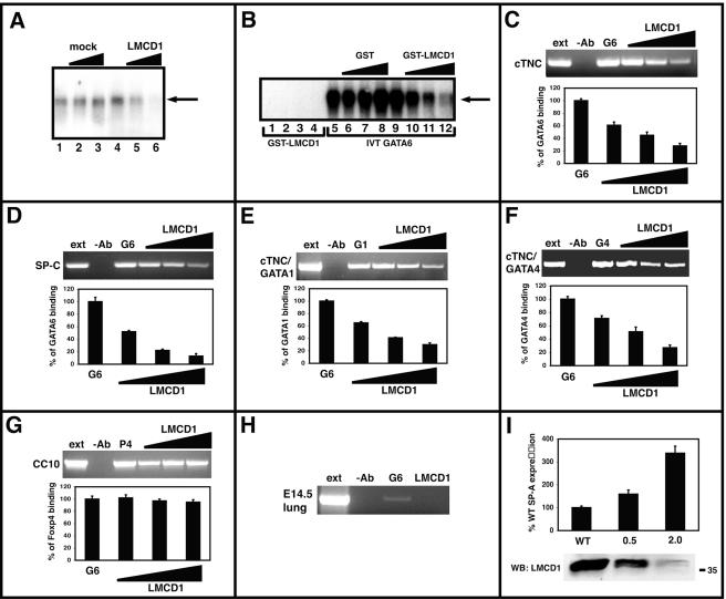 FIG. 8.