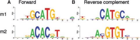 Fig. 3.