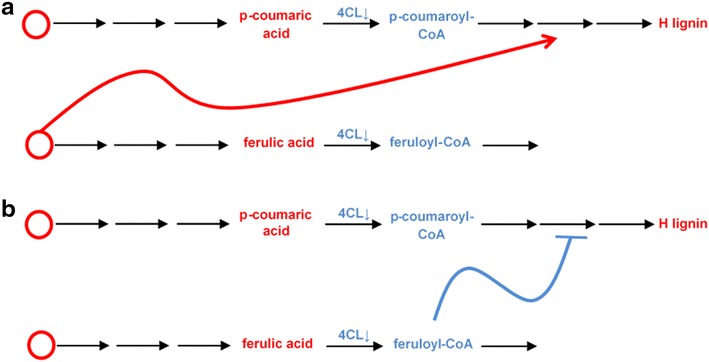 Fig. 8