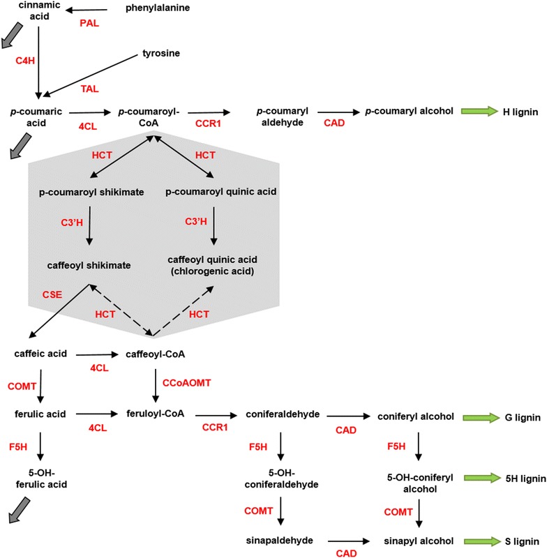 Fig. 1