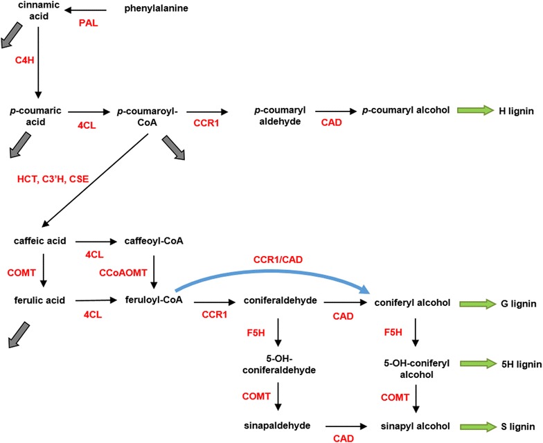 Fig. 2